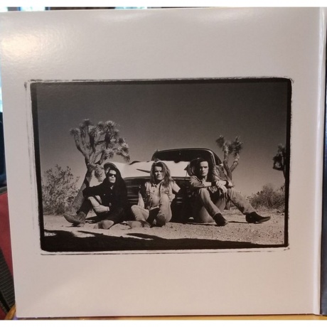 Cult - Sonic Temple (30Th Anniversary) (607618215118) - фото 3