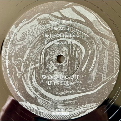 Big Big Train - Woodcut (0198029779318) - фото 2