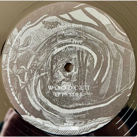 Big Big Train - Woodcut (0198029779318) - фото 3