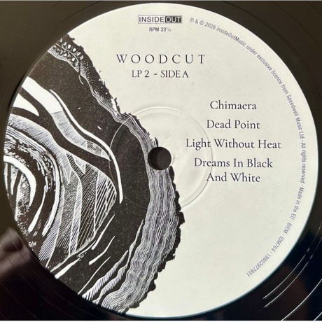 Big Big Train - Woodcut (0198029779318) - фото 4