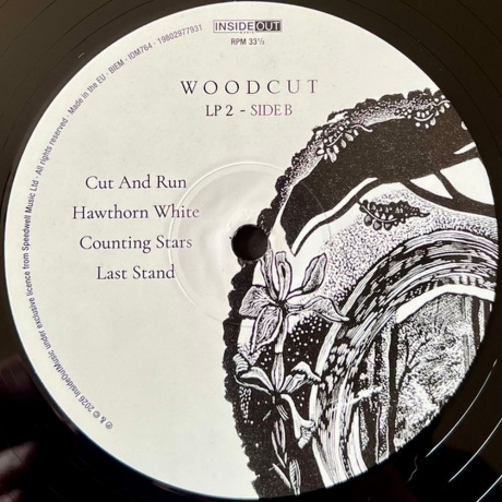 Big Big Train - Woodcut (0198029779318) - фото 5