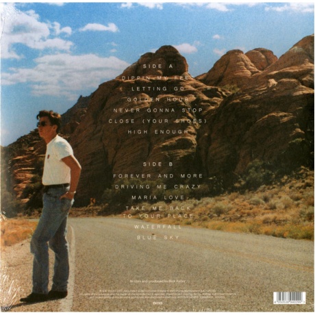 Rick Astley - Are We There Yet? (coloured) (4050538940299) - фото 2