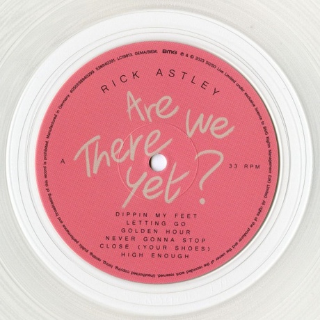 Rick Astley - Are We There Yet? (coloured) (4050538940299) - фото 3