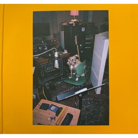 Mac DeMarco - Guitar (0198704399879) - фото 4