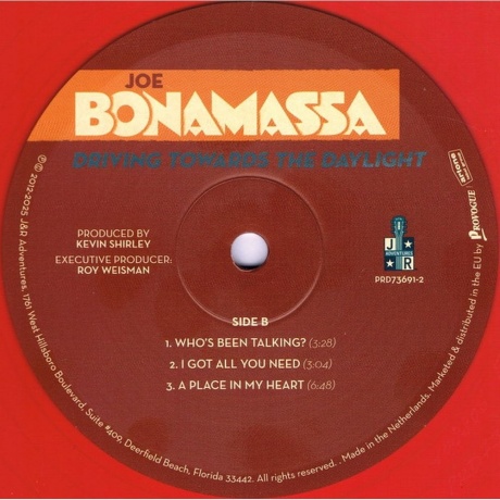 Joe Bonamassa - Driving Towards The Daylight (coloured) (8712725751410) - фото 4