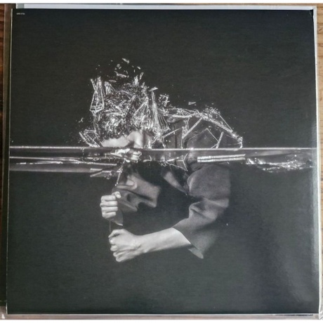 Lauren Mayberry - Vicious Creature (0602465588729) - фото 3