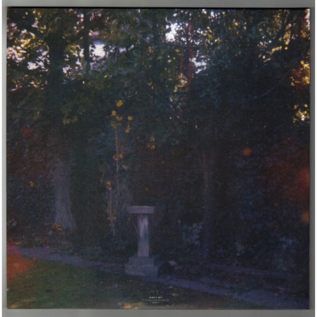Wolf Alice - Visions Of A Life (5060257960965) - фото 4