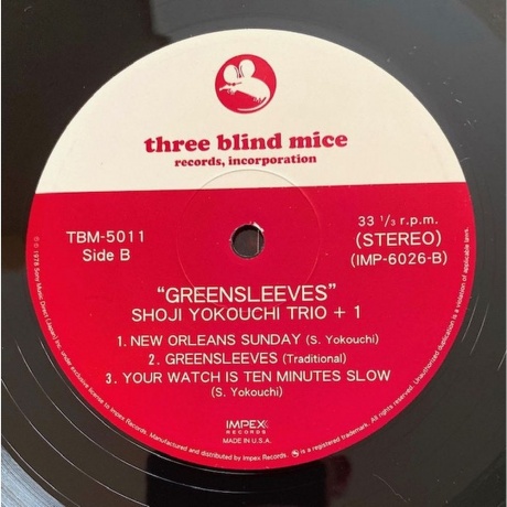 Shoji Yokouchi - Greensleeves (Analogue) (0856276002176) - фото 3