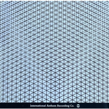 Makaya McCraven - In These Times (0075597908589) - фото 5