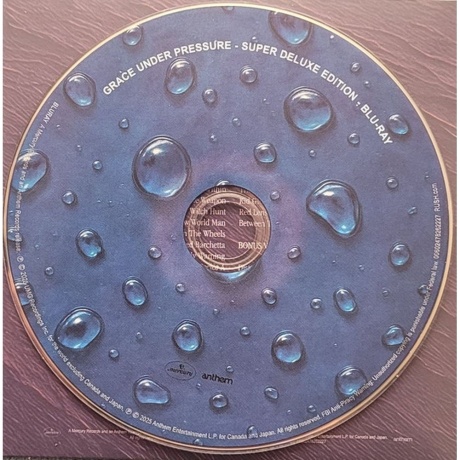 Rush - Grace Under Pressure (Box) (0602478262104) - фото 14