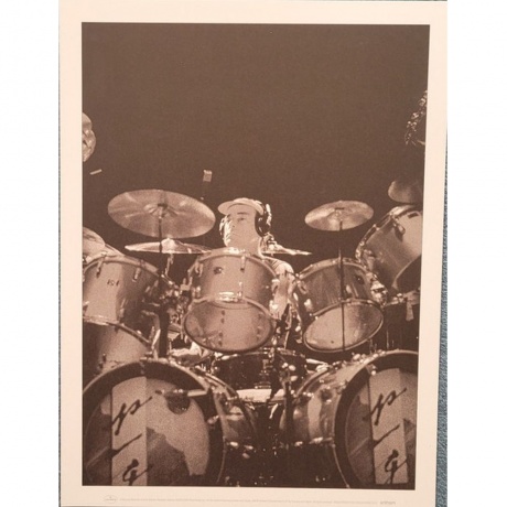 Rush - Grace Under Pressure (Box) (0602478262104) - фото 16