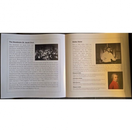 Stefan Skold - Mozart: Requiem (Analogue) (0762765869093) - фото 4