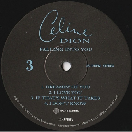 Celine Dion - Falling Into You (0199584241319) - фото 6