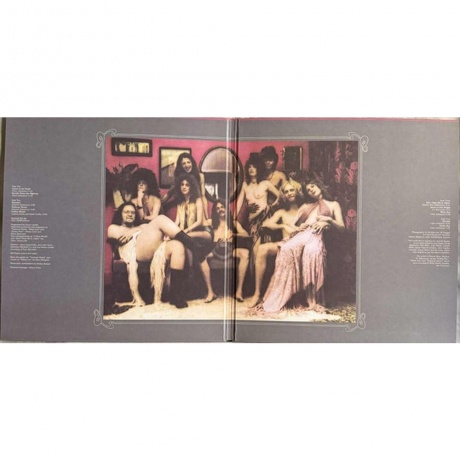 The Doobie Brothers - Toulouse Street (Analogue) (0821797259613) - фото 2