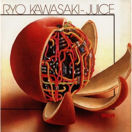 Ryo Kawasaki - Juice (7119691284316) виниловая пластинка