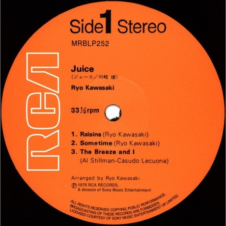 Ryo Kawasaki - Juice (7119691284316) - фото 2