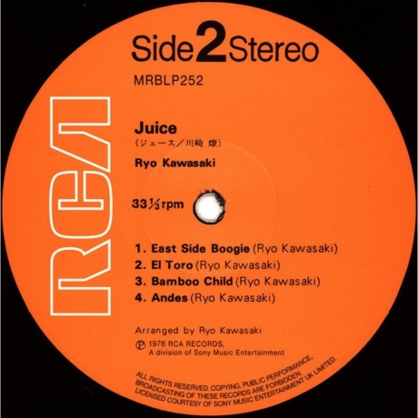 Ryo Kawasaki - Juice (7119691284316) - фото 3