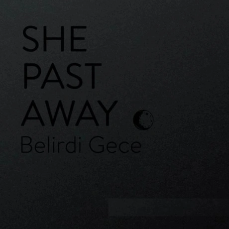 She Past Away - Belirdi Gece (8016670152354) виниловая пластинка