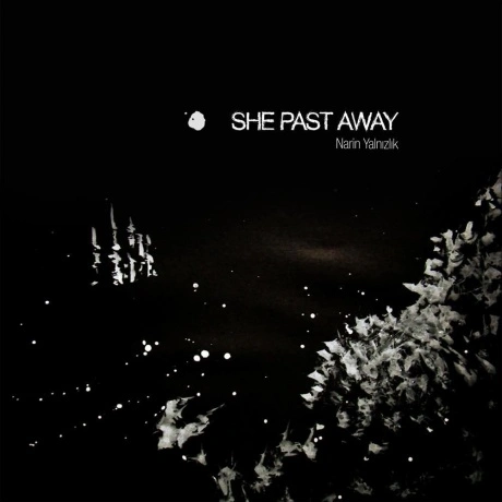 She Past Away - Narin Yalnizlik (0648275357322) виниловая пласти...