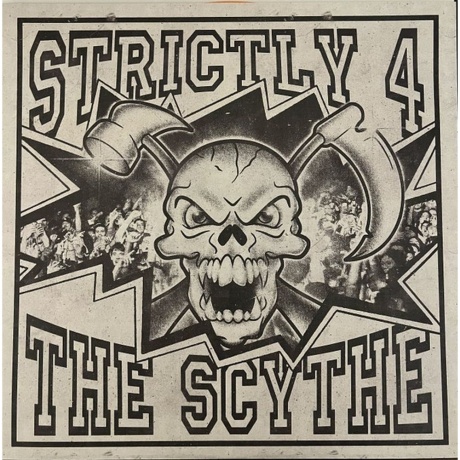Denzel Curry - Strictly 4 The Scythe (0888072756335) виниловая пластинка - фото 3