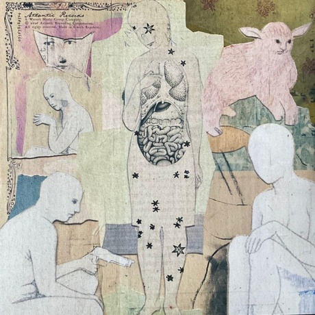 Melanie Martinez - Hades (coloured) (0075678589478) - фото 7