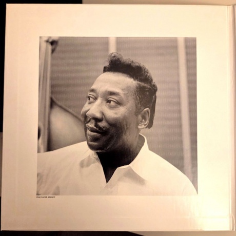 Muddy Waters - Folk Singer (Analogue) (0602488332415) - фото 3