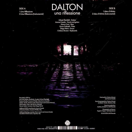 Dalton - Una Riflessione (V12) (coloured) (8016158317145) - фото 2
