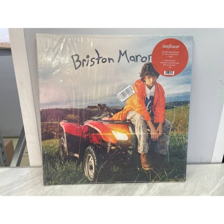 Briston Maroney - Sunflower (0075678645815) виниловая пластинка хорошее состояние - фото 2