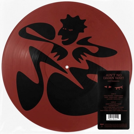 Kaytranada - Aint No Damn Way! (198029812510) - фото 1