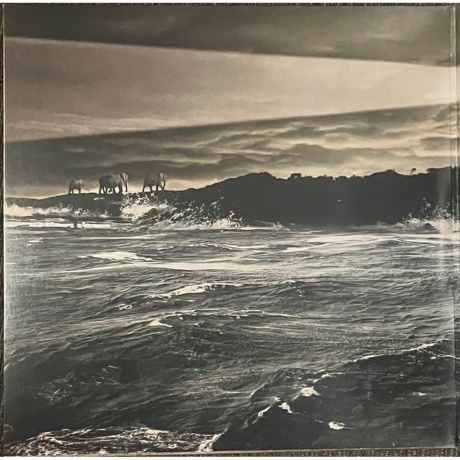 Dream Theater - Black Cloud &amp; Silver Linings (Clear) (603497807734) - фото 7