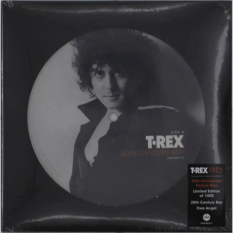 T. Rex - 20th Century Boy (V7) (picture) (5014797909052)