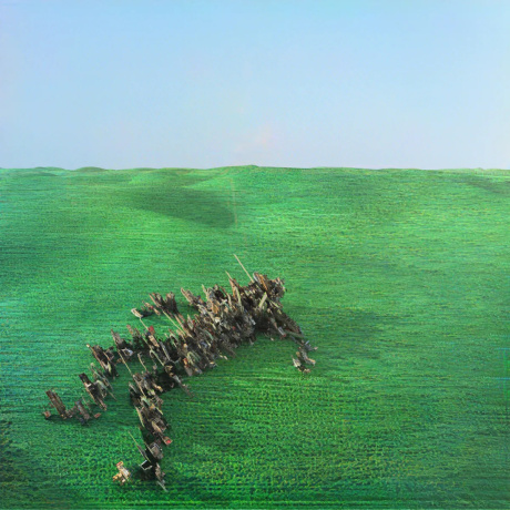 Squid - Bright Green Field (0801061031411) виниловая пластинка