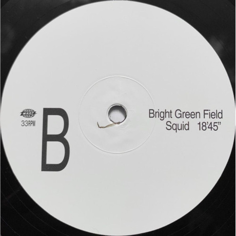 Squid - Bright Green Field (0801061031411) виниловая пластинка - фото 4