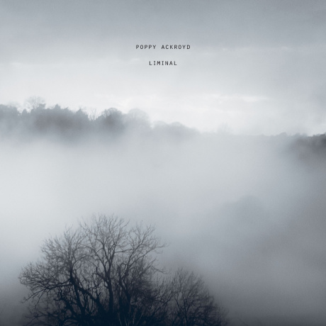 Poppy Ackroyd - Liminal (5016958110338) виниловая пластинка