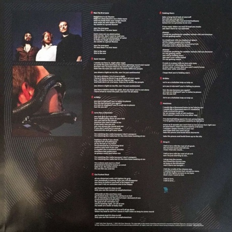 Biffy Clyro - Puzzle (0825646178216) виниловая пластинка - фото 7