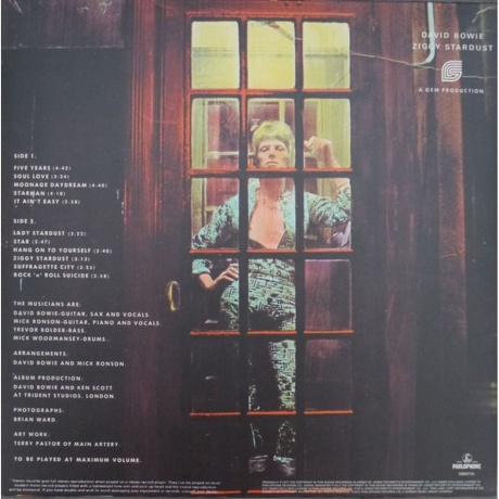 David Bowie - The Rise And Fall Of Ziggy Stardust And The Spiders From Mars (remastered 2012) (0825646287376) виниловая пластинка - фото 2