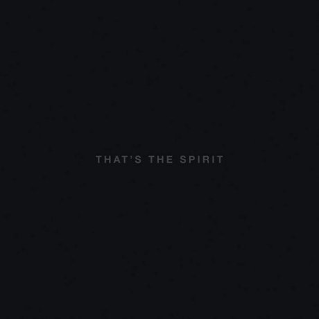 

Bring Me The Horizon, That’S The Spirit (LP, CD) (0888751309012) виниловая пластинка