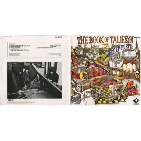 Deep Purple - The Book Of Taliesyn (Mono) (0825646183470) виниловая пластинка - фото 3