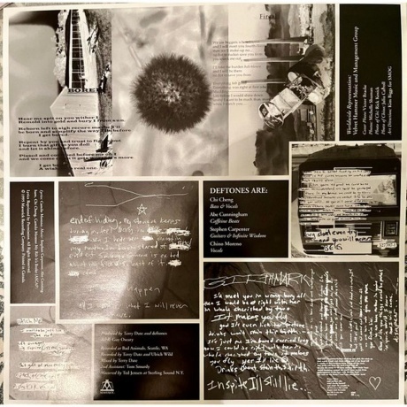 Deftones - Adrenaline (0093624957812) виниловая пластинка - фото 5