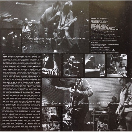 Deftones, Deftones (0093624835011) виниловая пластинка - фото 3