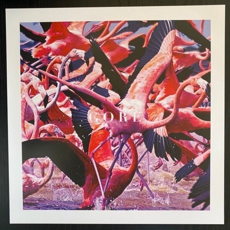 Deftones - Gore (0093624926498) виниловая пластинка - фото 5