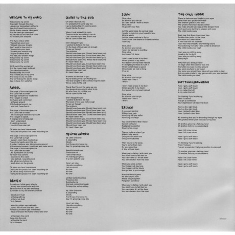 Depeche Mode - Delta Machine (2Lp) (0887654606310) виниловая пластинка - фото 10