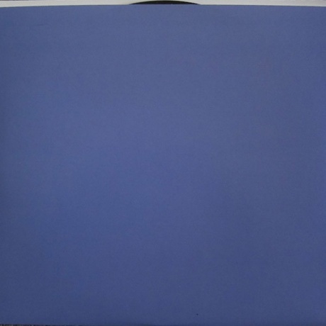 Bob Dylan - Shadows In The Night (0888750579614) виниловая пластинка - фото 6