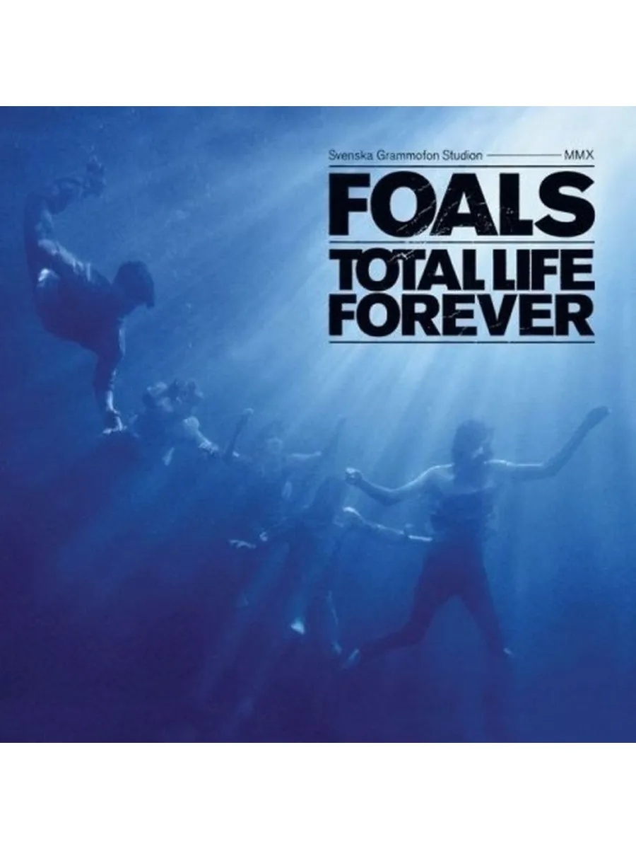 Виниловая пластинка Foals, Total Life Forever (5051865913900)
