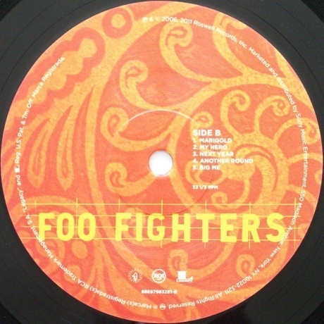 Foo Fighters - Skin and Bones (0886979832817) виниловая пластинка - фото 4