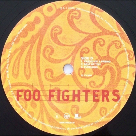 Foo Fighters - Skin and Bones (0886979832817) виниловая пластинка - фото 6