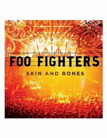 Виниловая пластинка Foo Fighters, Skin and Bones