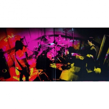 Foo Fighters, Wasting Light (0886978449313) виниловая пластинка - фото 3