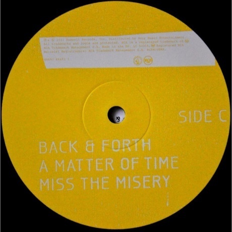 Foo Fighters, Wasting Light (0886978449313) виниловая пластинка - фото 10