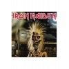 Виниловая пластинка Iron Maiden, Iron Maiden (0825646252442)